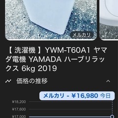 洗濯機　6.0kg HERB Relax YWM-T60A1の画像