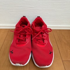 PUMA運動靴の画像
