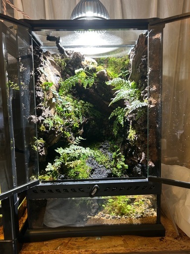 グラステラリウム3045 レイアウト品2