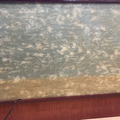 ‼️あげます‼️雛人形の画像