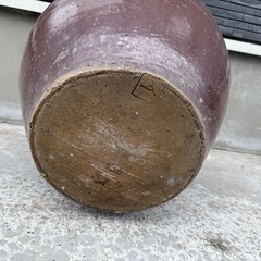 水瓶　メダカの画像