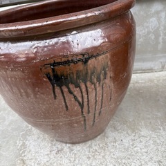 水瓶　メダカの画像