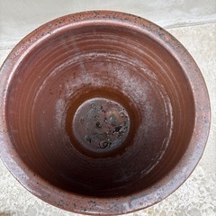 水瓶　メダカの画像