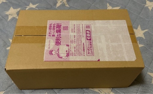 【新品未開封】ポケモンセンター フクオカ スペシャルボックス