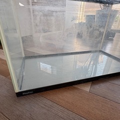 水槽の画像