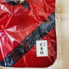 【新品未使用】大島紬 ポーチ 巾着 赤いポーチの画像