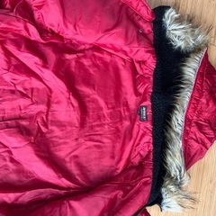 アビレックスキッズコートの画像