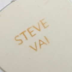 未使用品 Steve Vai DUNLOP ギターピック 2枚セットの画像