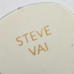 未使用品 Steve Vai DUNLOP ギターピック 2枚セットの画像