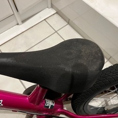 ストライダー14xの画像