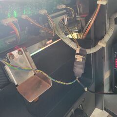 引き取り限定　激レア　リオデカーニバル　サマーの画像