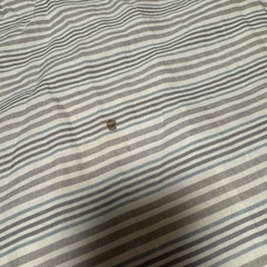 ニトリ　掛け布団　セミダブルの画像