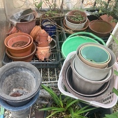 庭で使っていた棚と植木鉢の画像