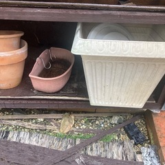 庭で使っていた棚と植木鉢の画像