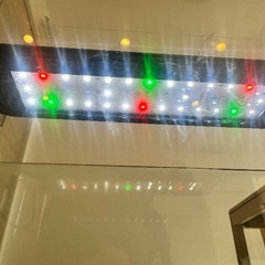 GEX ガラス水槽 LEDライト付き 金魚 めだかの画像
