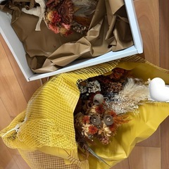 ドライフラワーの画像