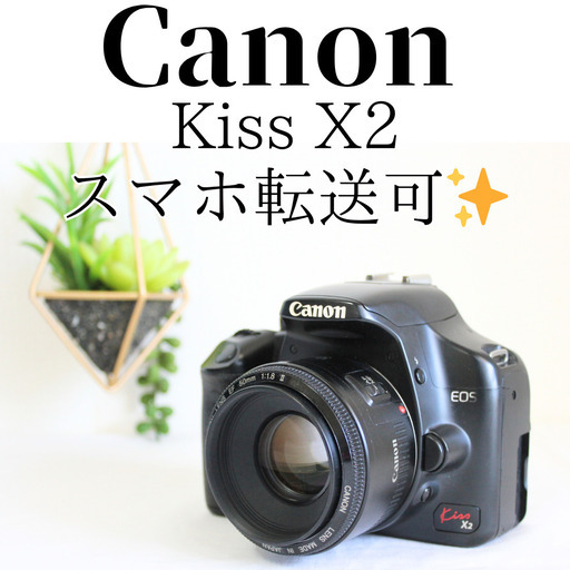 Canon Kiss X2 単焦点レンズセット