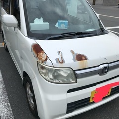 ホンダ　ゼスト　車検あり乗って帰る　1年ありの画像