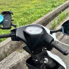 ✅スズキ アドレスv50 自賠責付き 乗って帰れますの画像