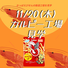 11/20(木) カルビー工場見学