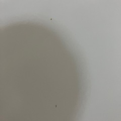 2510-379 ワイセレクト ノンフロン冷凍冷蔵庫 YRZ-F23K 2023年製 全定格内容積  236L 動作確認済み キズ 汚れありの画像