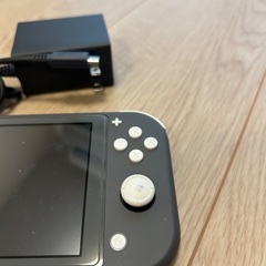 Nintendo Switch Light グレーの画像