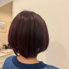急募‼️ 今日限定 ヘアマニキュア(白髪染め)モデル募集⚠️