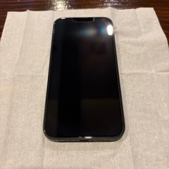 iPhone16e（256G）の画像