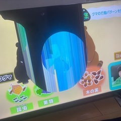 テレビ REGZA 50インチ ジャンクの画像