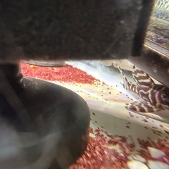 キンペコL333の画像