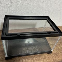 EXOTERRA 水槽 W31×D19×H18.5cmの画像