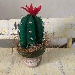 ‼️値下げ‼️✨すぐに飾れる✨フェイクグリーン✨多肉サボテン✨の画像