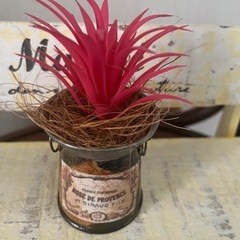 ‼️値下げ‼️✨すぐに飾れる✨フェイクグリーン✨多肉サボテン✨の画像