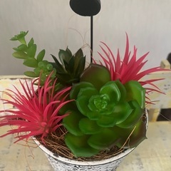 ‼️値下げ‼️✨すぐに飾れる✨フェイクグリーン✨多肉サボテン✨の画像