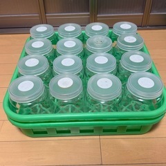 カブトムシ、クワガタ飼育ボトル用コンテナ【1個350円の画像