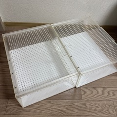 レプタイルボックス　ワイド　2個セットの画像