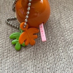 ディズニーパーカー&キーホルダーの画像