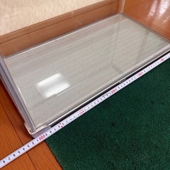 ★テトラ　水槽★の画像