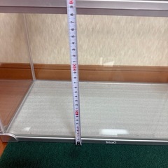 ★テトラ　水槽★の画像