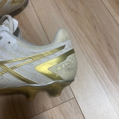 スパイクの画像