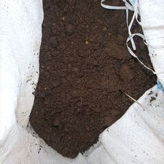 【東京都練馬区】花壇の庭土・残土、無料で差し上げます24【無料】の画像