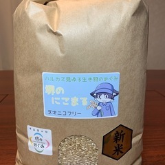 【R7年度産】新米 にこまる　白米５キロ　堺市産の画像