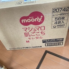 テープオムツMの画像
