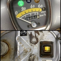 HONDA リトルカブ　littlecub ホンダ　走る止まる曲がるOK 軽整備済み　書類有り　原付　50cc 通勤　通学　カスタムベースの画像