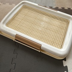 ペット尿取りの画像