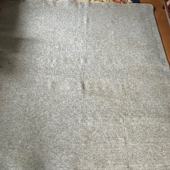 山善ホットカーペットの画像