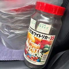 使用済み　梅酒作り瓶ほか大きめ瓶たくさんの画像