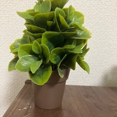 造花 置物の画像