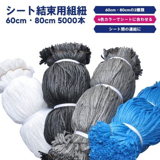 ★新品★ シート紐 60cｍ【5000本】【灰】