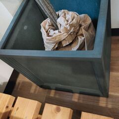 代々木駅付近受渡し）LLブリティッシュPキューブ 39cm、プランター店舗鉢カバーの画像